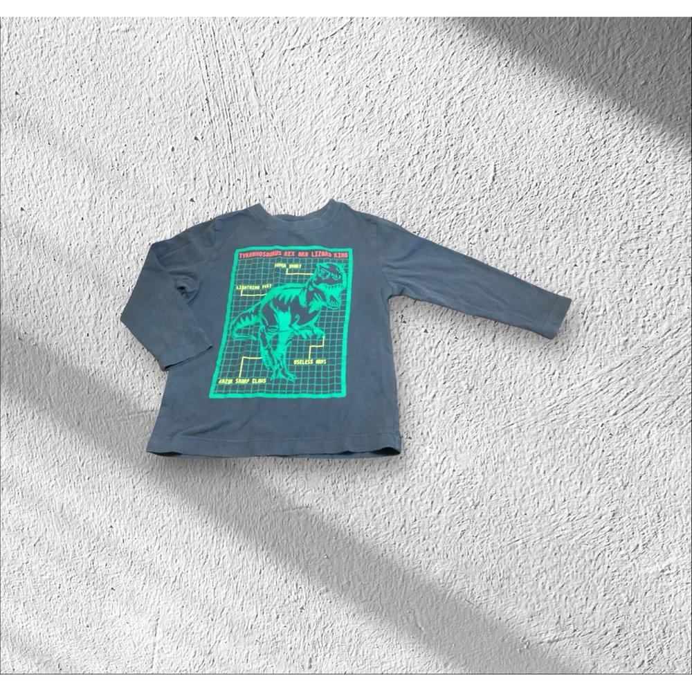 Hanna Andersson long-sleeved tee